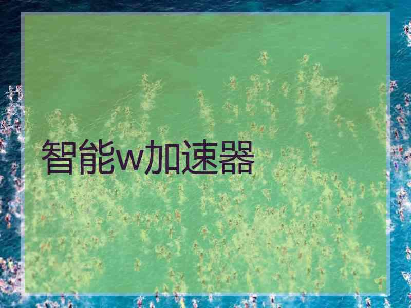 智能w加速器