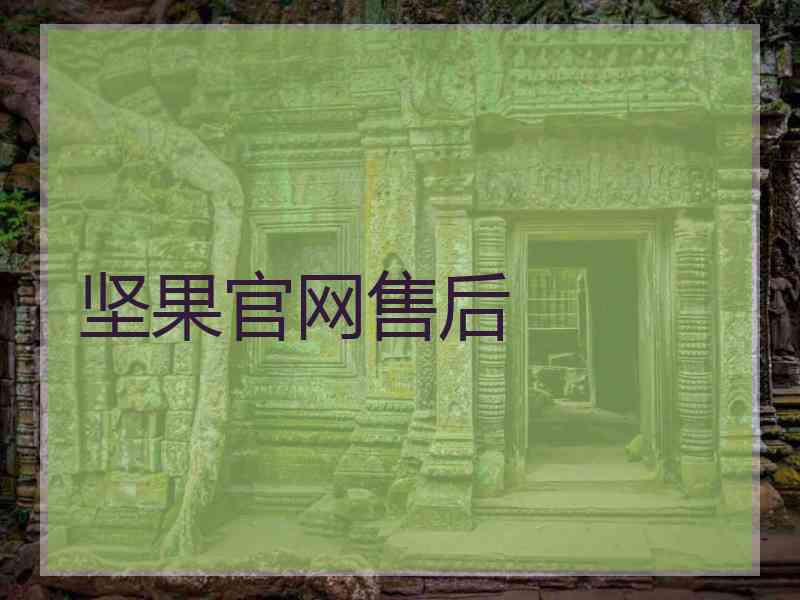 坚果官网售后