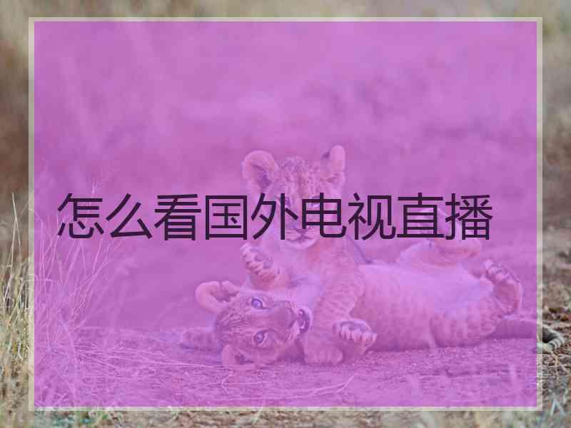 怎么看国外电视直播