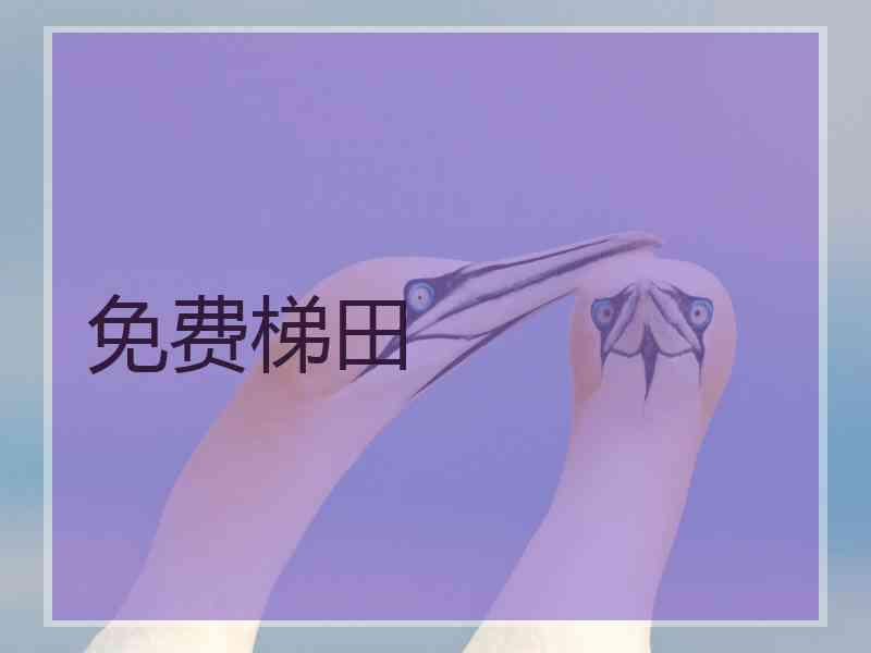 免费梯田