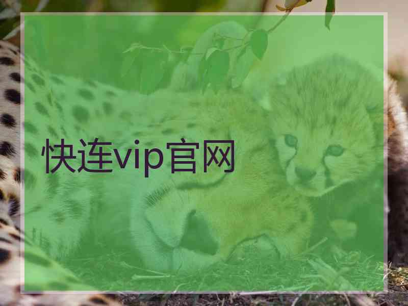 快连vip官网
