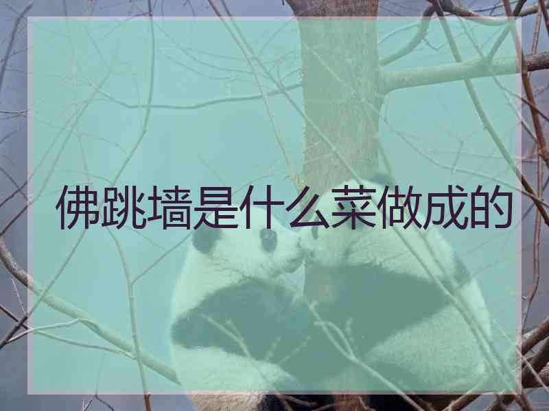 佛跳墙是什么菜做成的