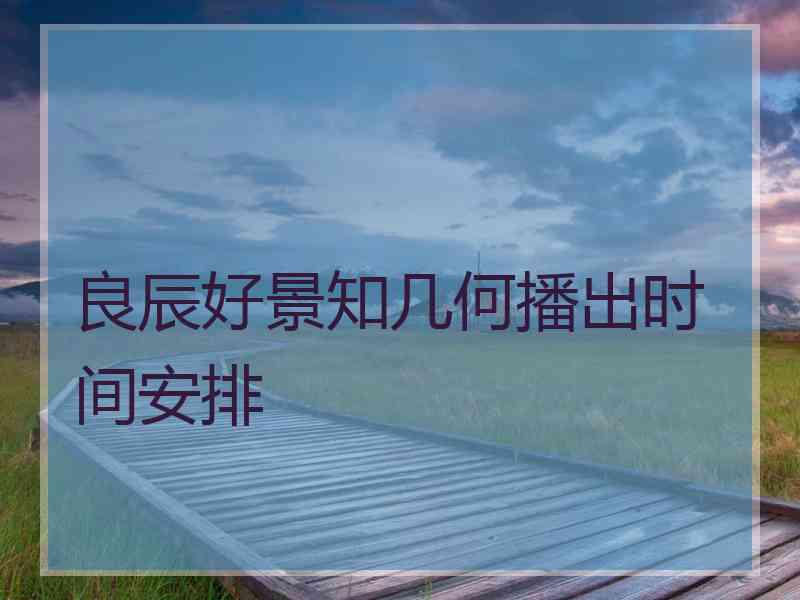 良辰好景知几何播出时间安排
