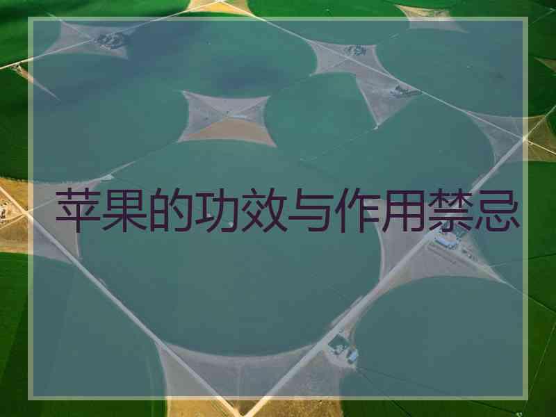 苹果的功效与作用禁忌