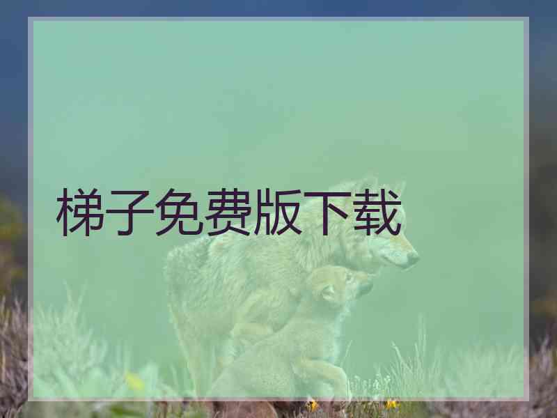 梯子免费版下载