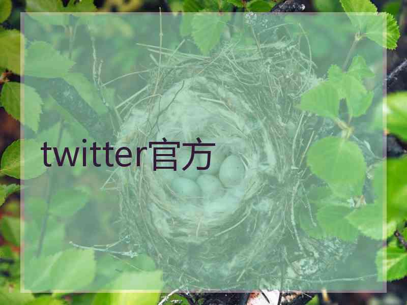 twitter官方