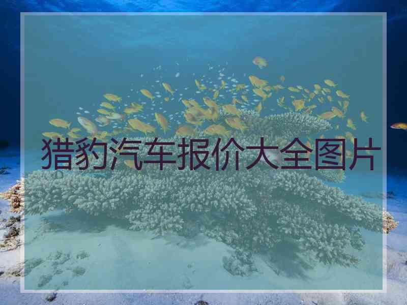 猎豹汽车报价大全图片