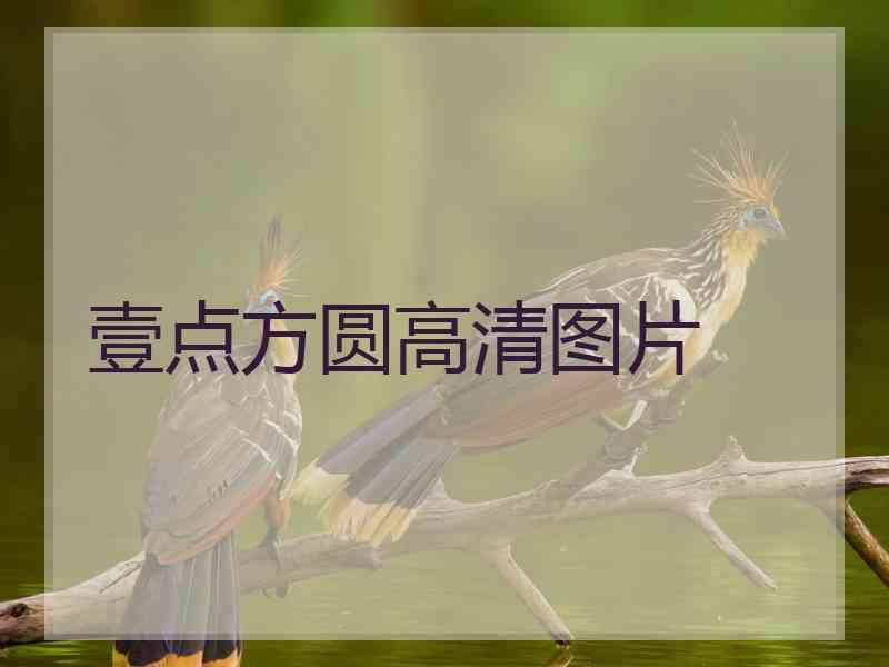 壹点方圆高清图片
