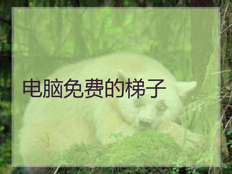 电脑免费的梯子