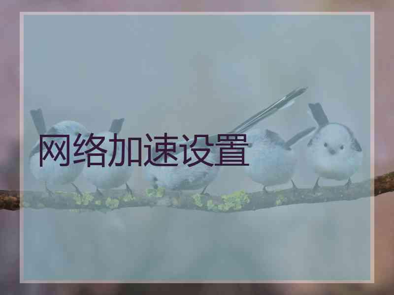 网络加速设置