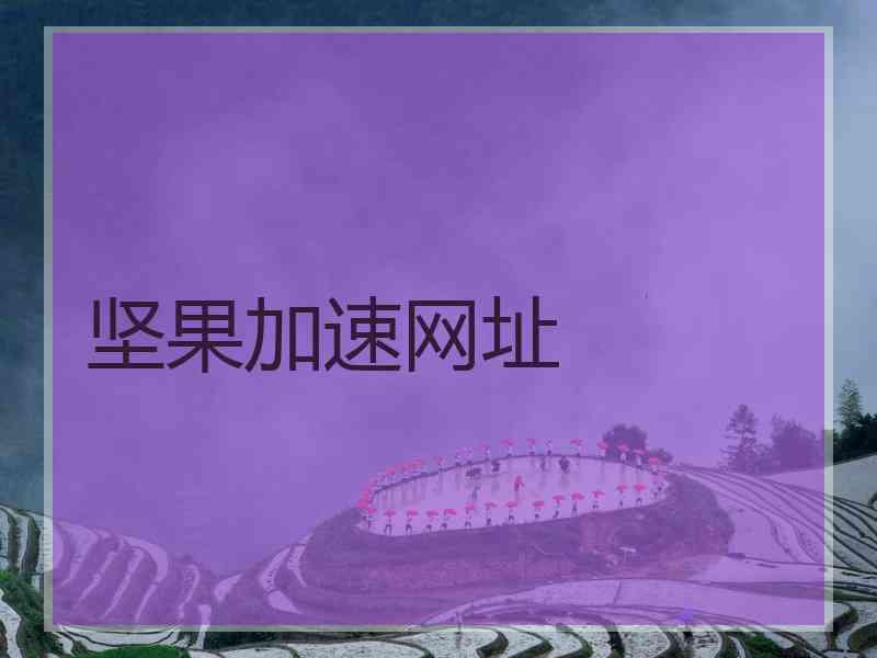 坚果加速网址