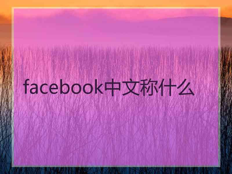 facebook中文称什么