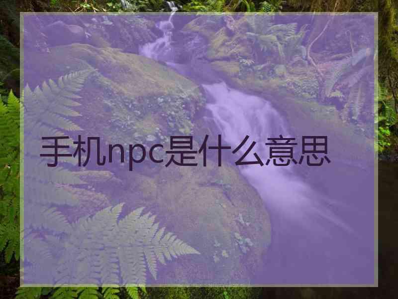 手机npc是什么意思