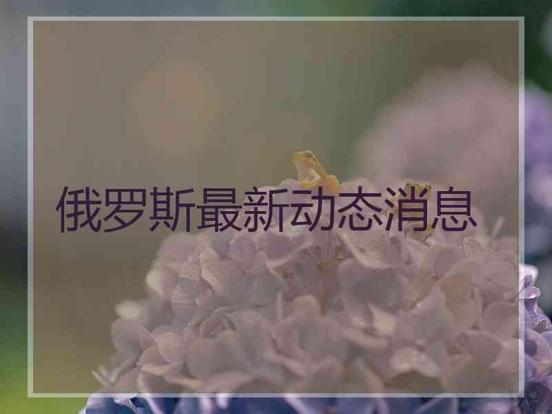 俄罗斯最新动态消息