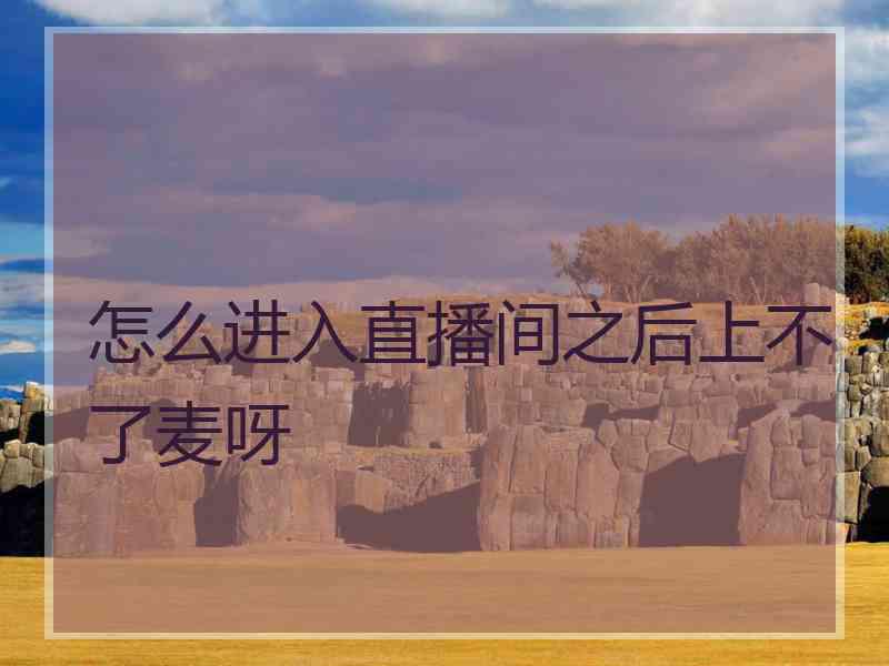 怎么进入直播间之后上不了麦呀