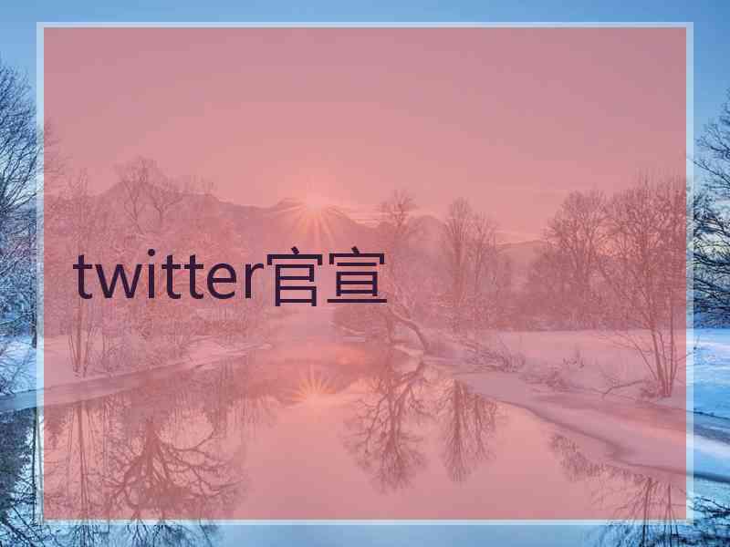 twitter官宣