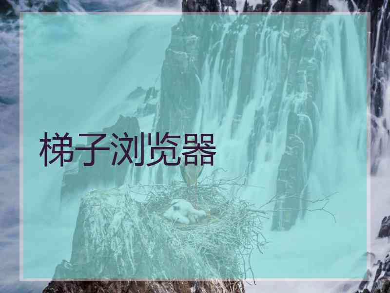 梯子浏览器