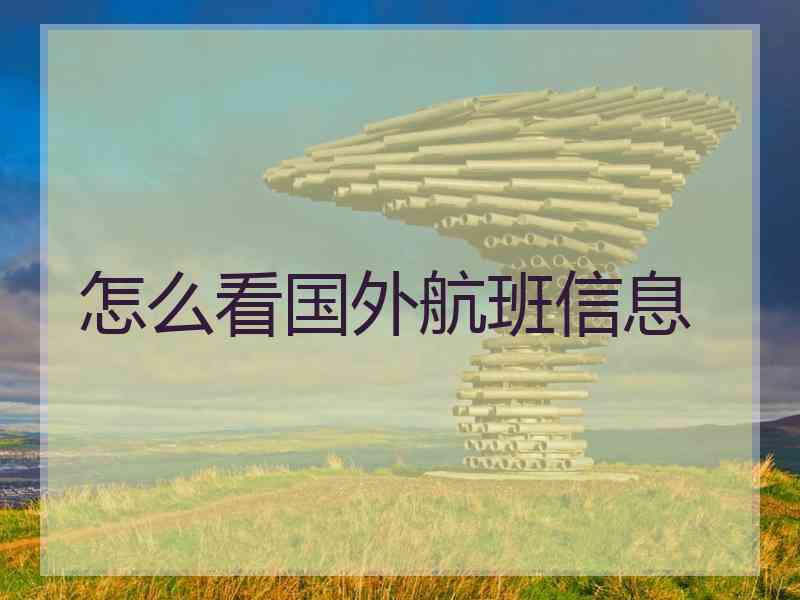 怎么看国外航班信息