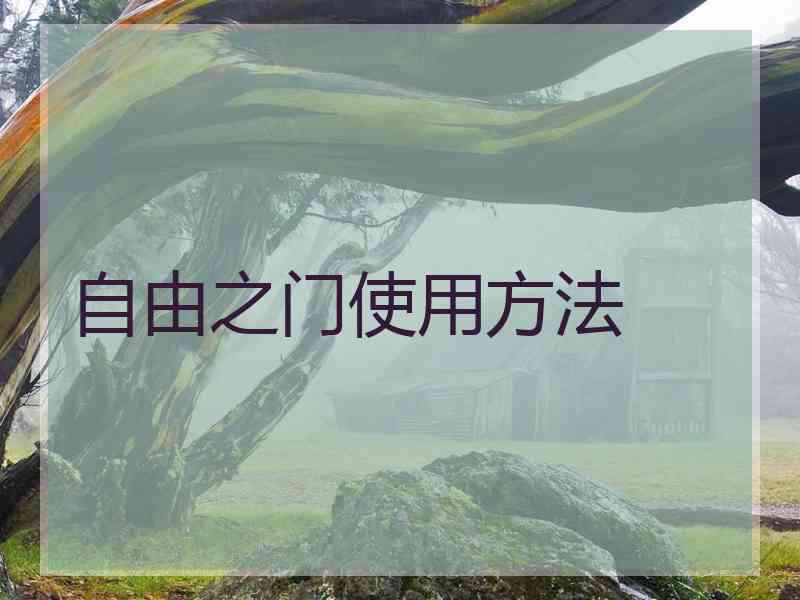 自由之门使用方法
