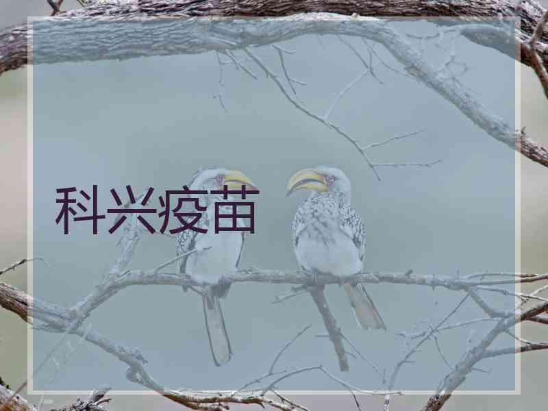 科兴疫苗