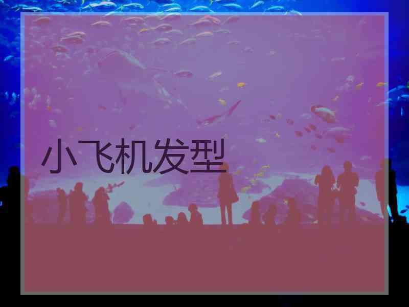 小飞机发型