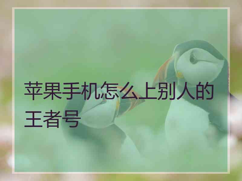 苹果手机怎么上别人的王者号