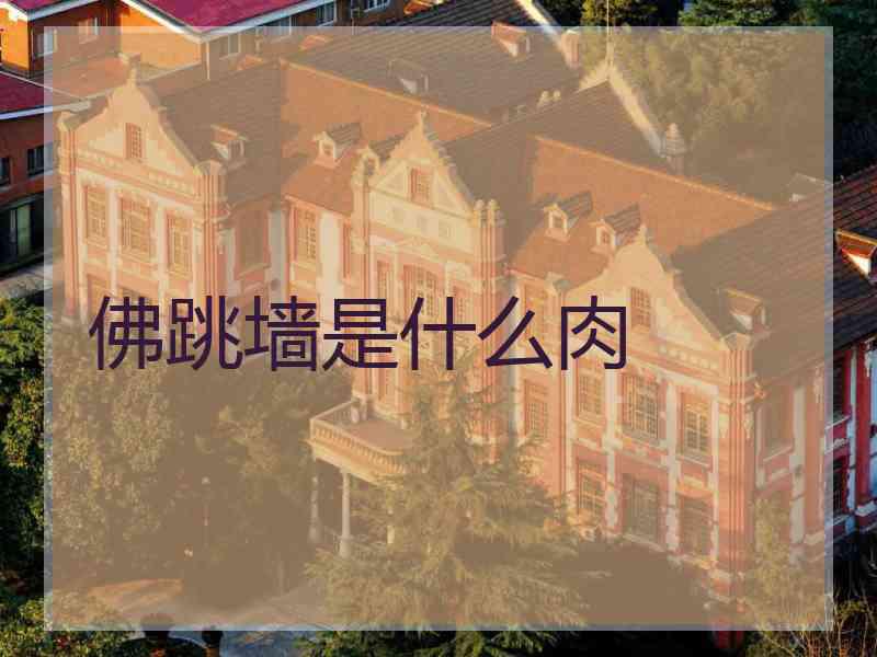佛跳墙是什么肉