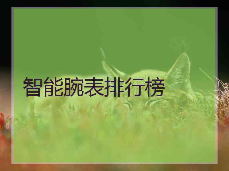 智能腕表排行榜