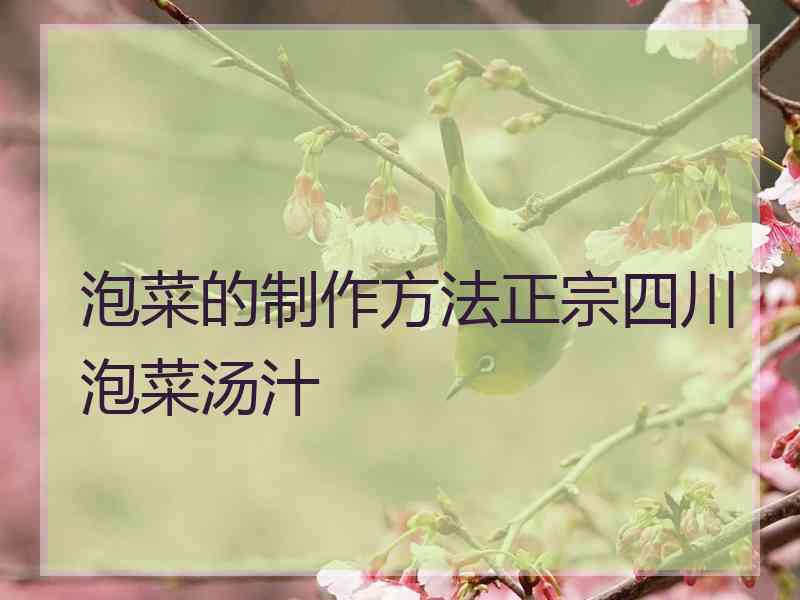 泡菜的制作方法正宗四川泡菜汤汁