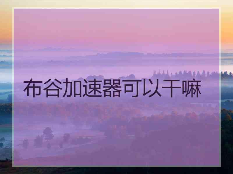 布谷加速器可以干嘛