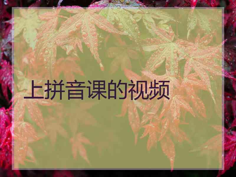 上拼音课的视频