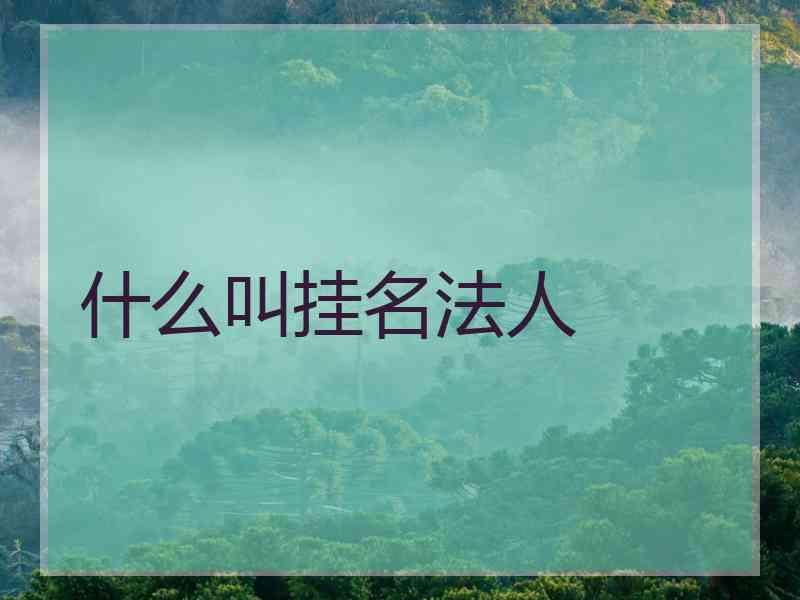 什么叫挂名法人