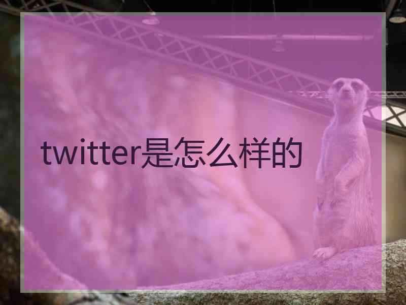 twitter是怎么样的