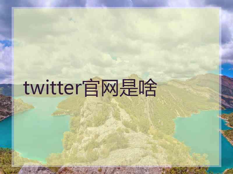 twitter官网是啥