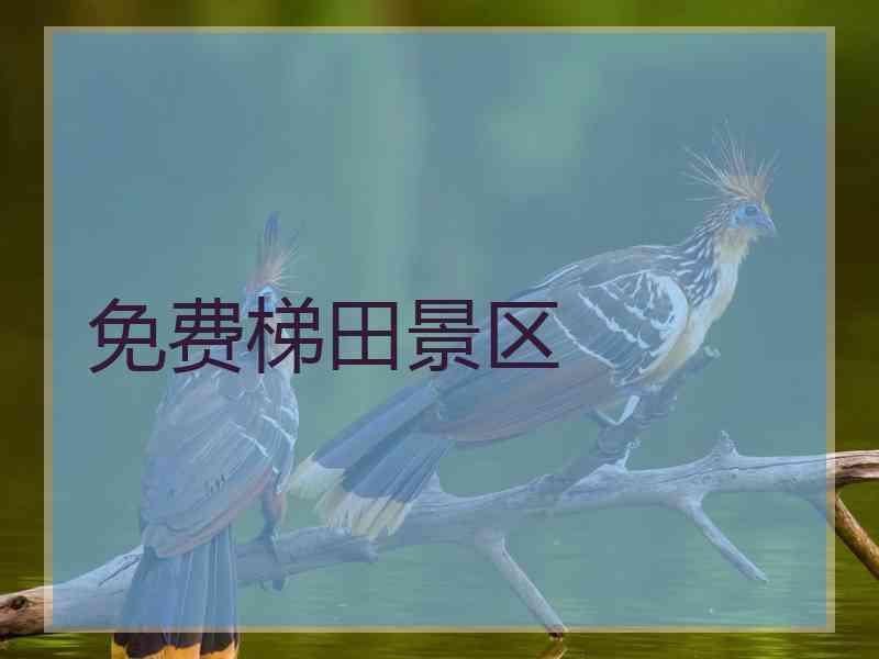 免费梯田景区