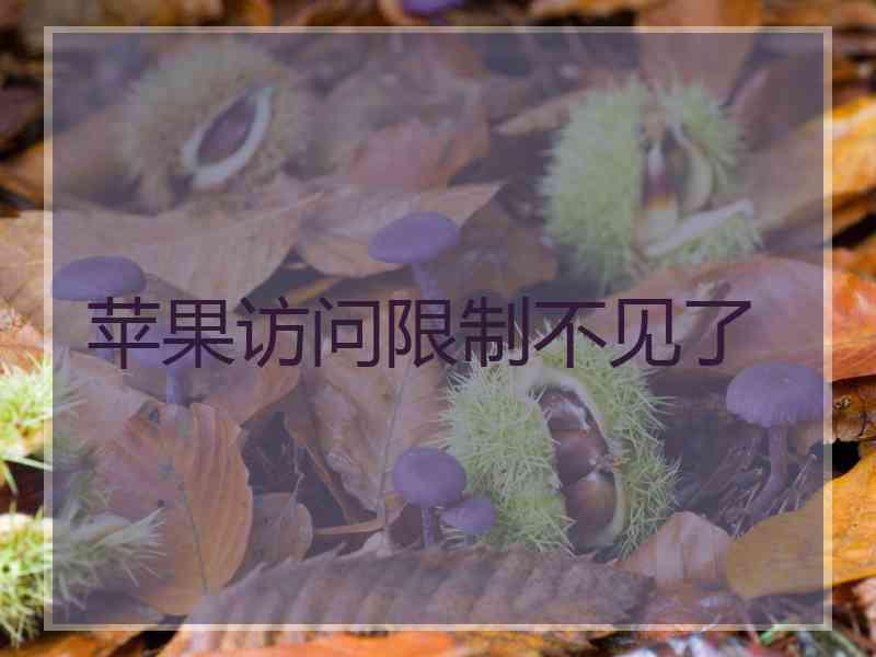 苹果访问限制不见了