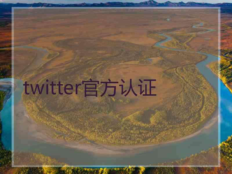 twitter官方认证