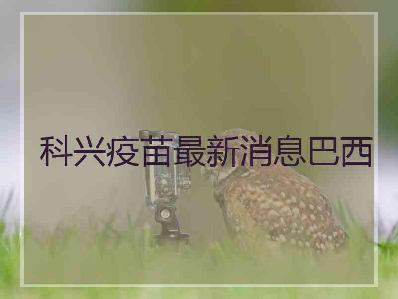 科兴疫苗最新消息巴西