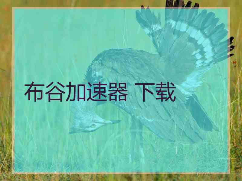 布谷加速器 下载
