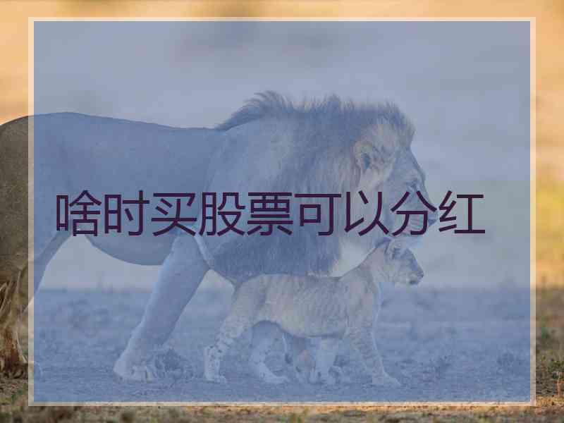 啥时买股票可以分红