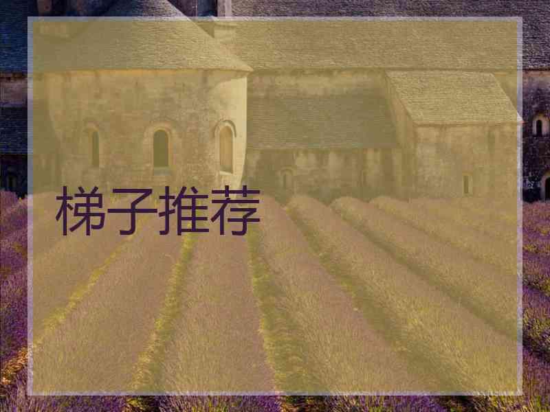 梯子推荐
