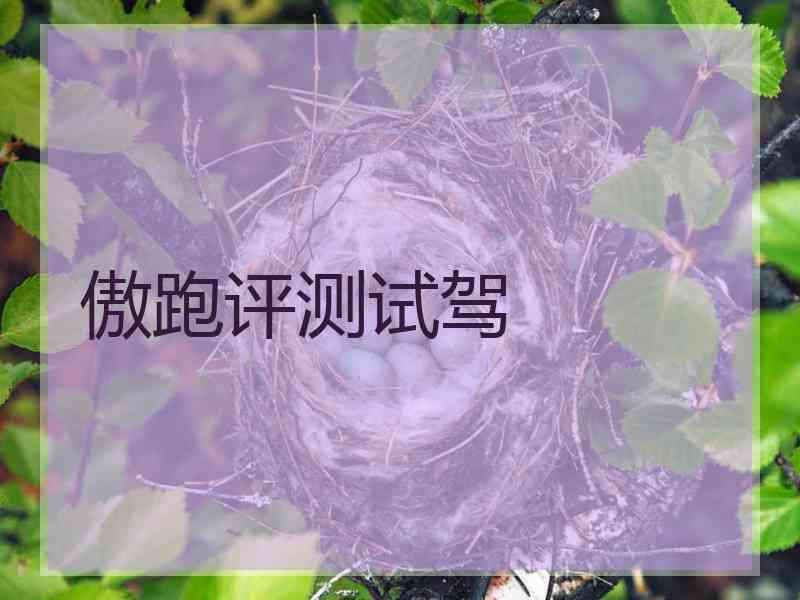 傲跑评测试驾
