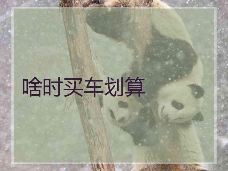 啥时买车划算