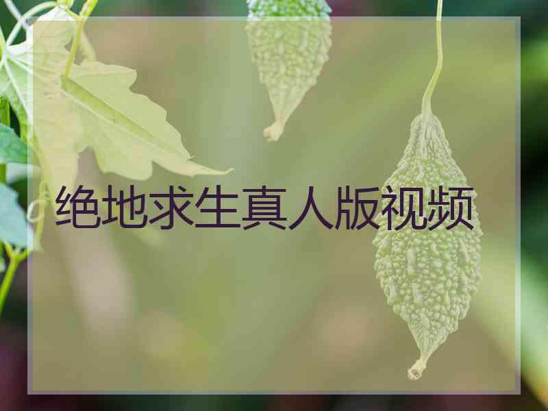 绝地求生真人版视频