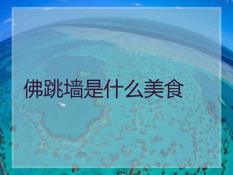 佛跳墙是什么美食