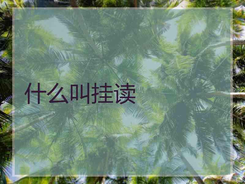 什么叫挂读