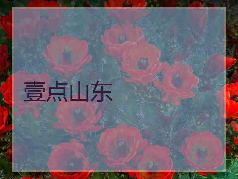 壹点山东
