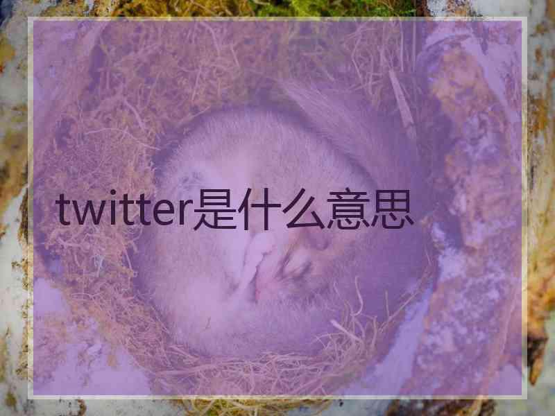 twitter是什么意思