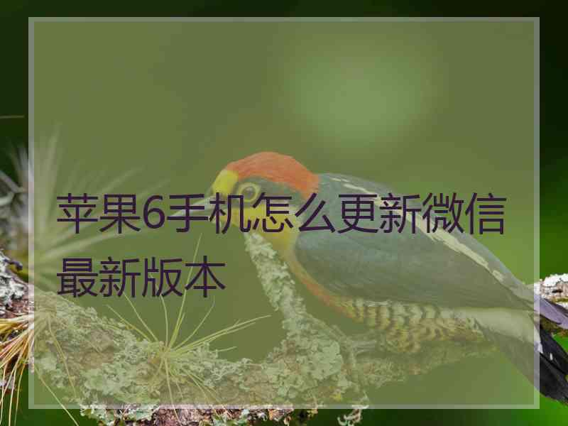 苹果6手机怎么更新微信最新版本