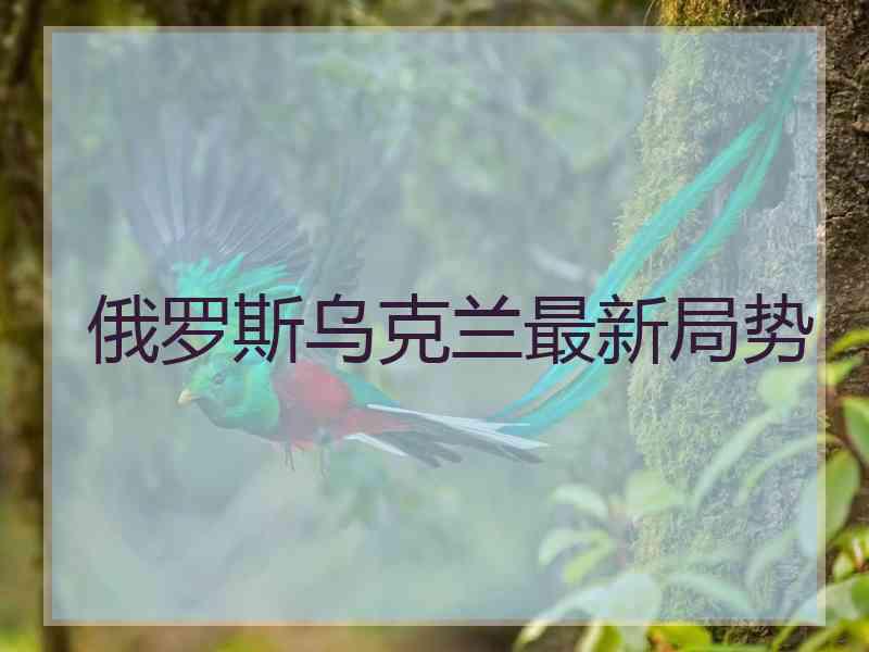 俄罗斯乌克兰最新局势